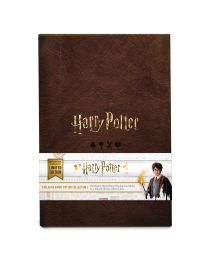 Harry Potter Spielkarten Sammlung Cartamundi