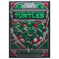 Teenage Mutant Ninja Turtles Spielkarten
